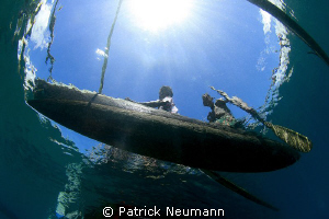 from a crocodile`s view by Patrick Neumann 